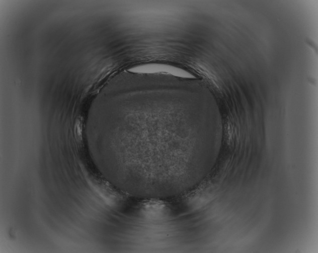 X0000091880214200709191203