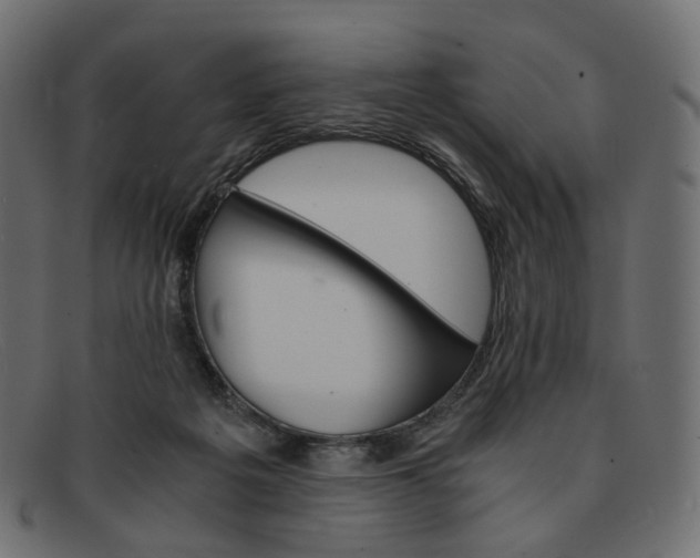 X0000091880217200709191203