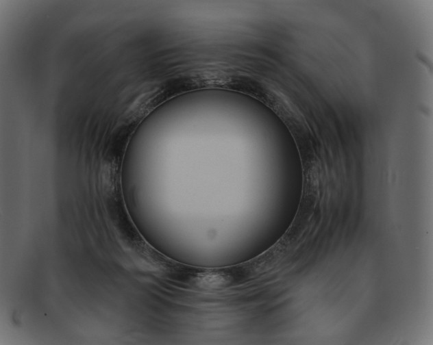 X0000091880218200709191203