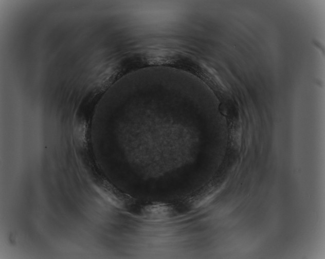 X0000091880219200709191203