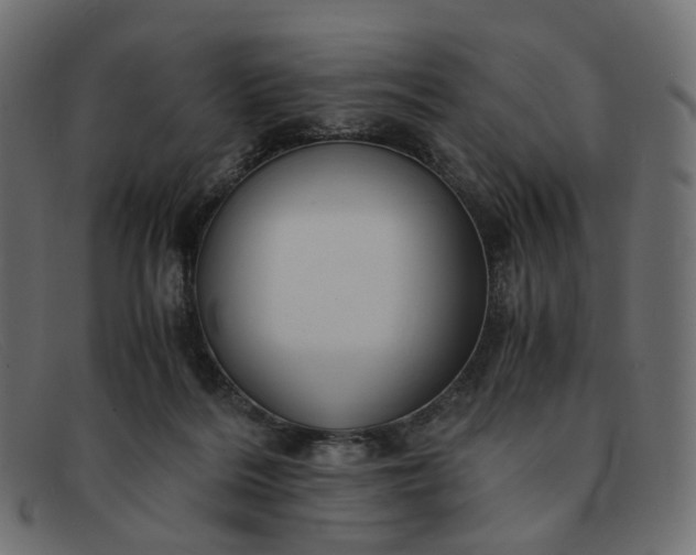 X0000091880220200709191203