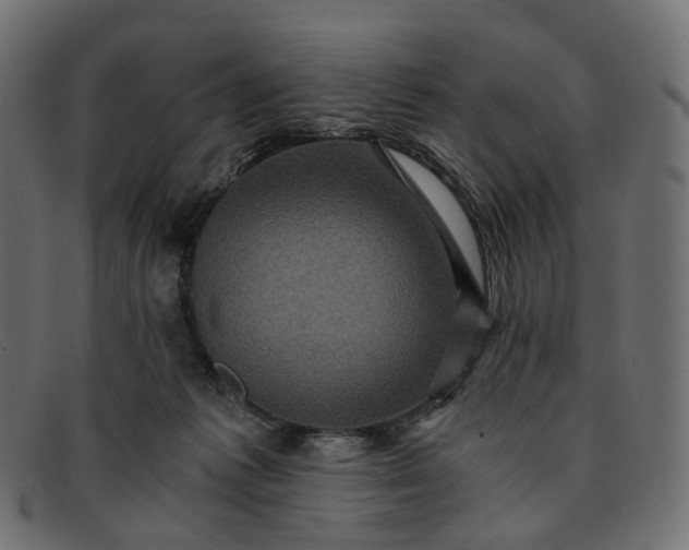 X0000091880221200709191203