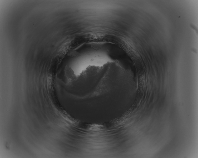 X0000091880222200709191203