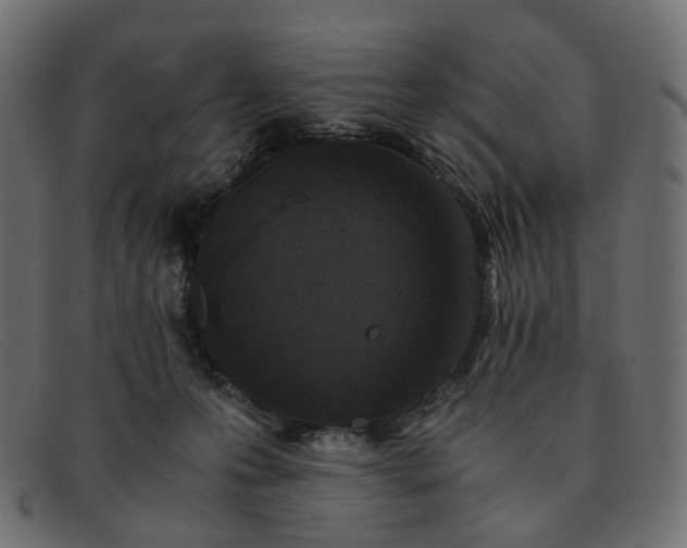 X0000091880223200709191203