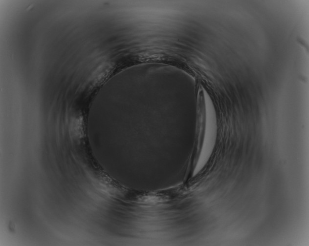 X0000091880224200709191203