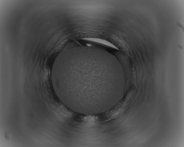 X0000091880225200709191203