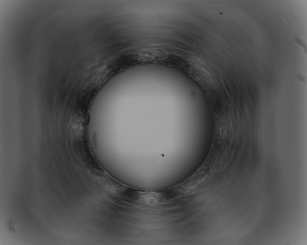 X0000091880226200709191203