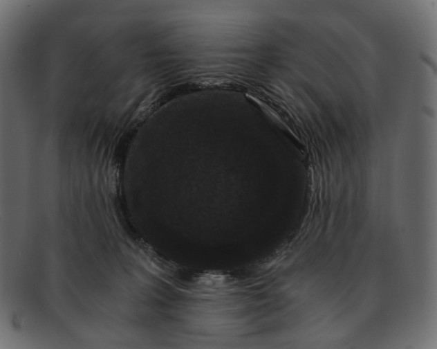 X0000091880227200709191203