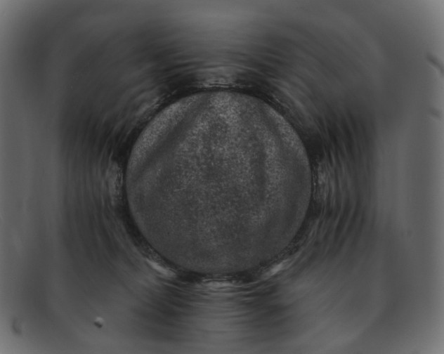 X0000091880228200709191203