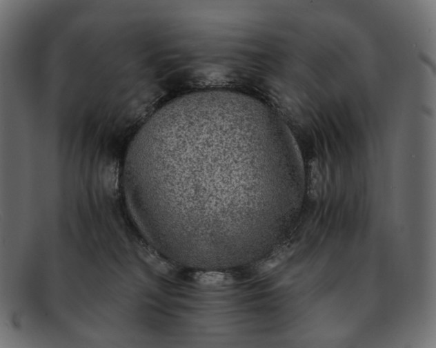 X0000091880230200709191203