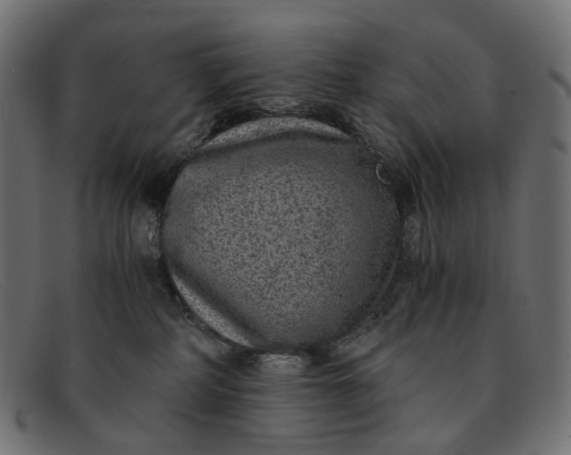 X0000091880234200709191203