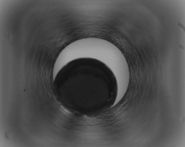 X0000091880235200709191203