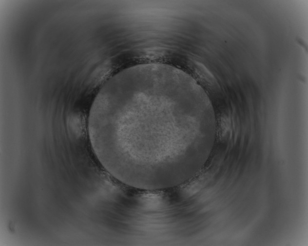 X0000091880236200709191203