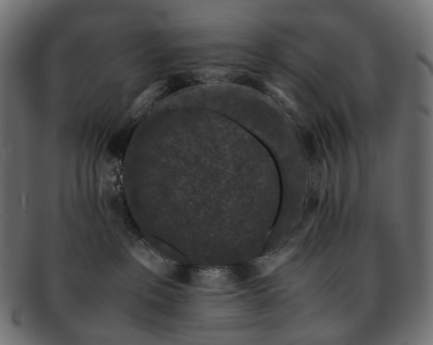 X0000091880237200709191203