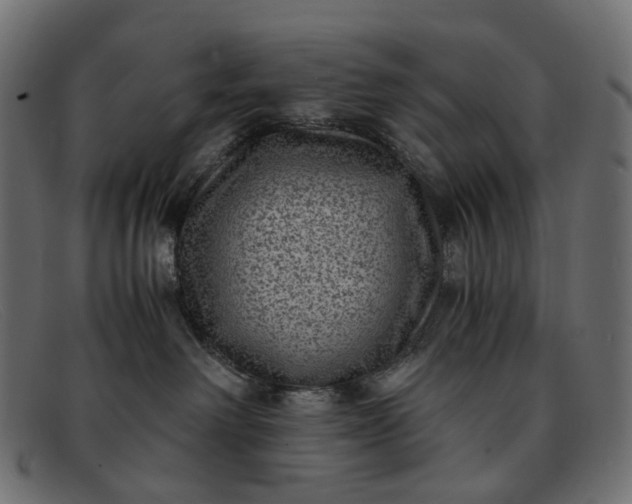 X0000091880238200709191203