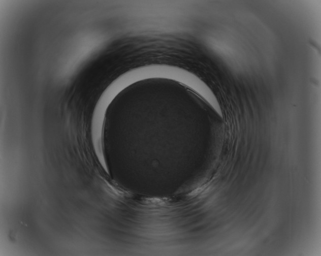 X0000091880239200709191203