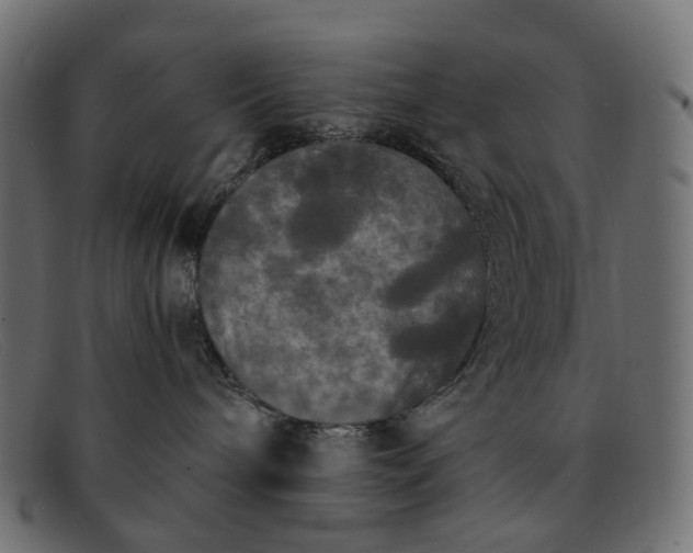 X0000091880240200709191202