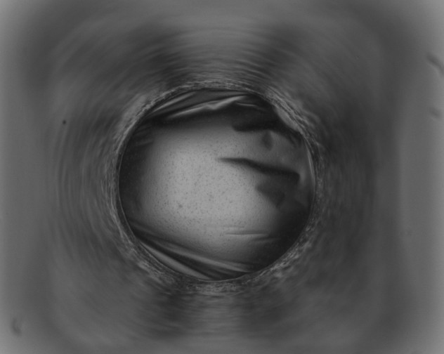 X0000091880241200709191202