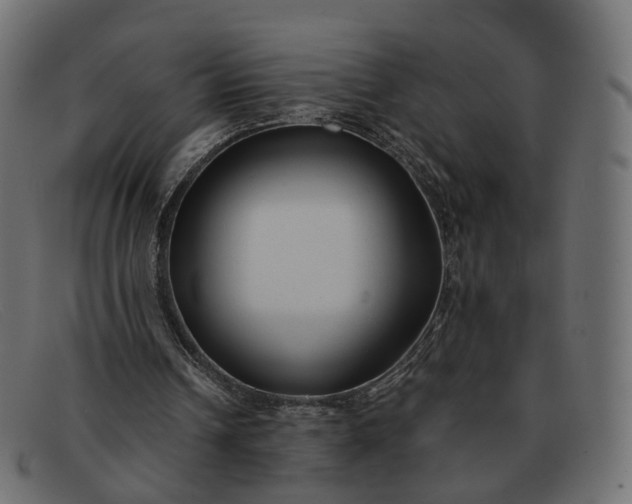 X0000091880242200709191202