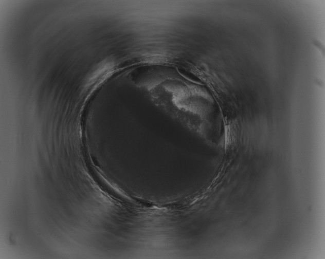 X0000091880243200709191202