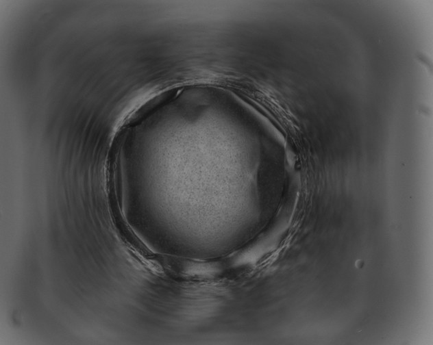 X0000091880244200709191202