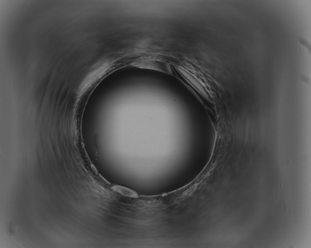 X0000091880245200709191202