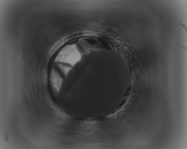 X0000091880247200709191202