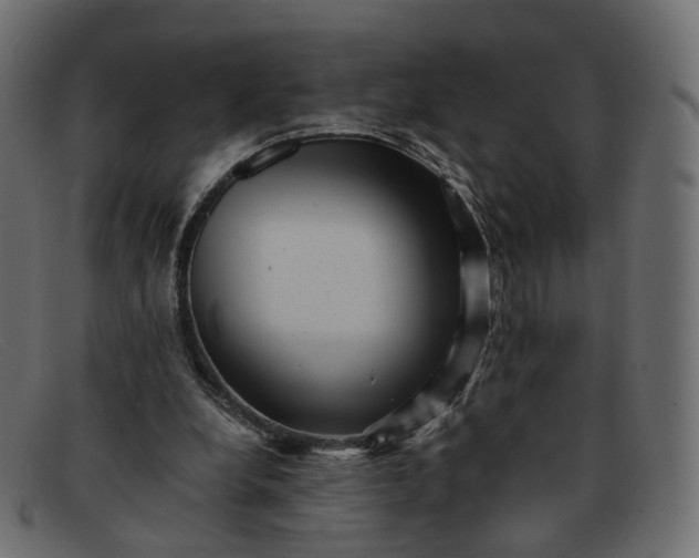 X0000091880248200709191202