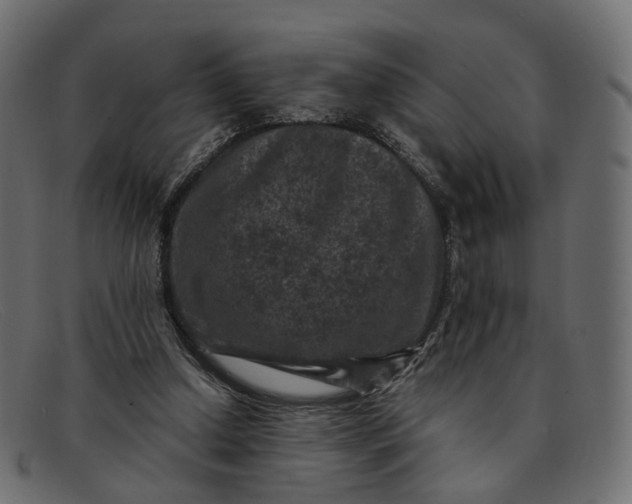 X0000091880250200709191202