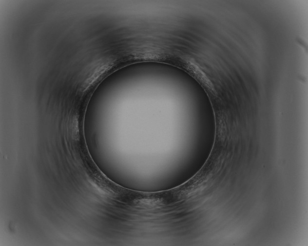 X0000091880251200709191202