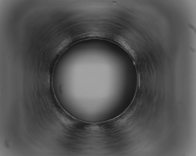 X0000091880253200709191202