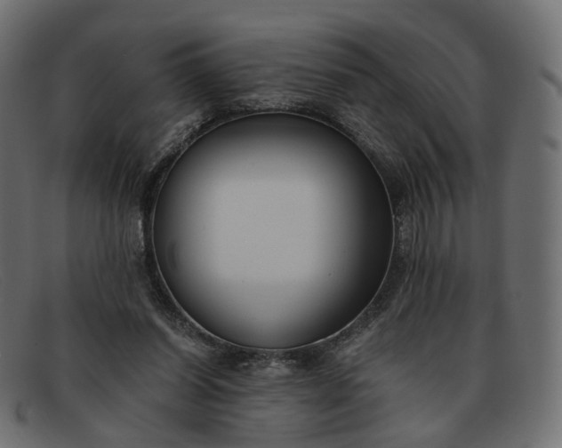 X0000091880254200709191202