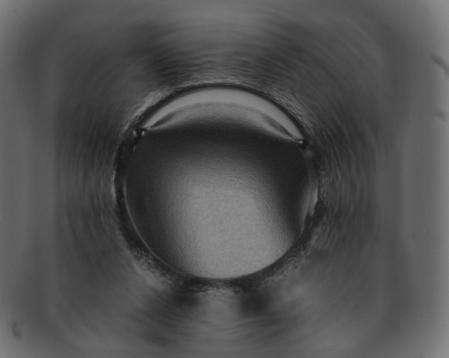 X0000091880256200709191202