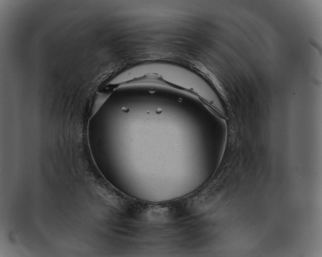 X0000091880257200709191202