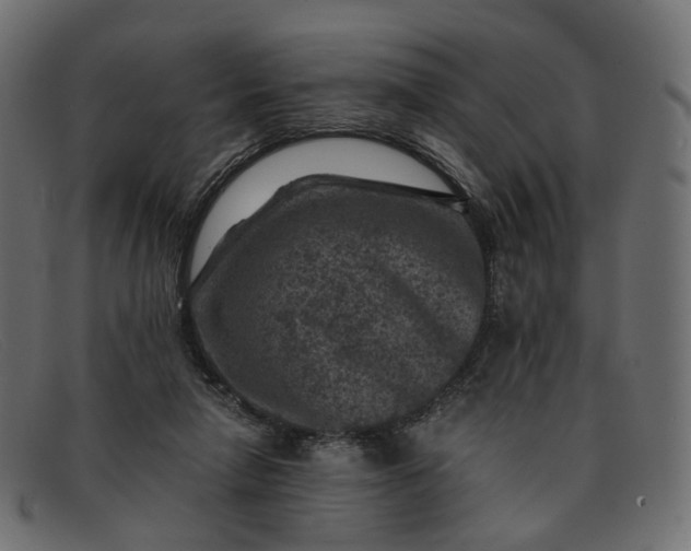 X0000091880258200709191202