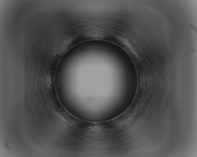 X0000091880259200709191202