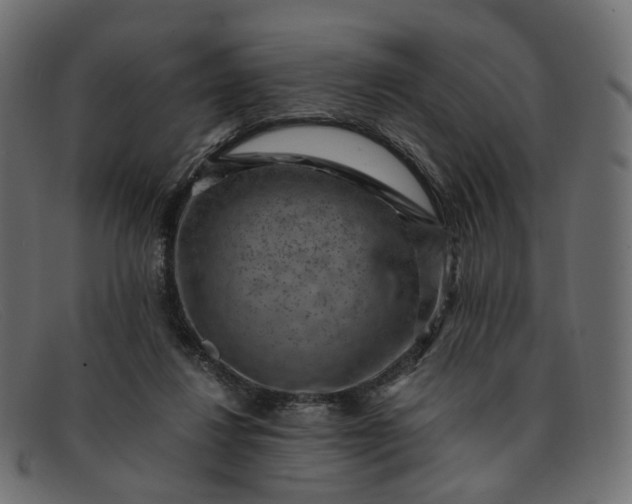 X0000091880260200709191202