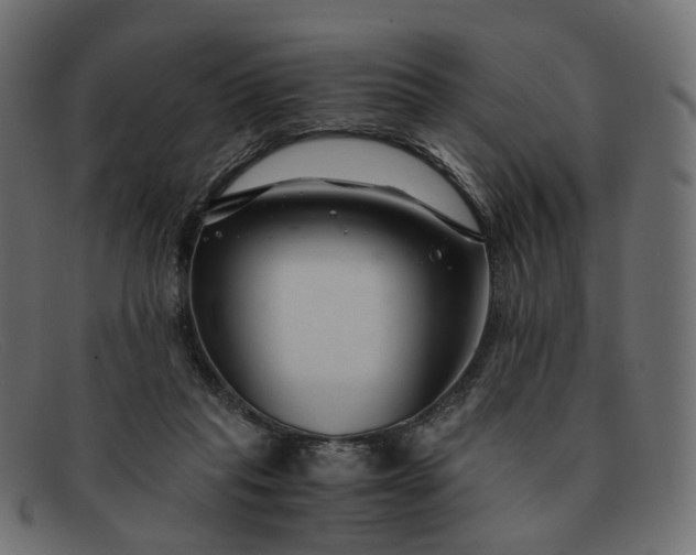 X0000091880261200709191202