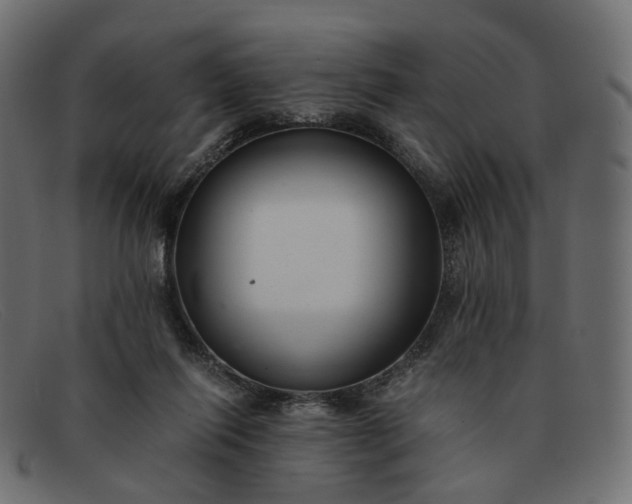 X0000091880262200709191202