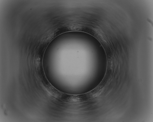 X0000091880263200709191202