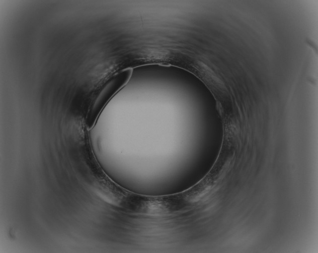 X0000091880264200709191202