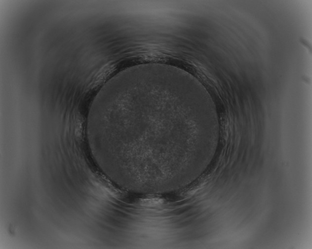 X0000091880266200709191202