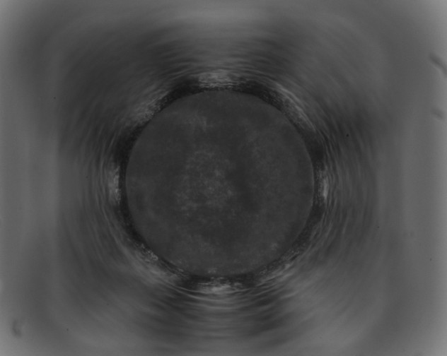 X0000091880267200709191202