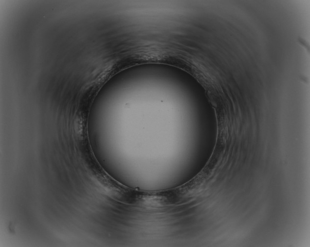 X0000091880268200709191202