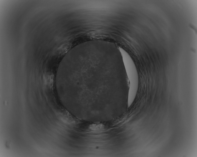 X0000091880271200709191202