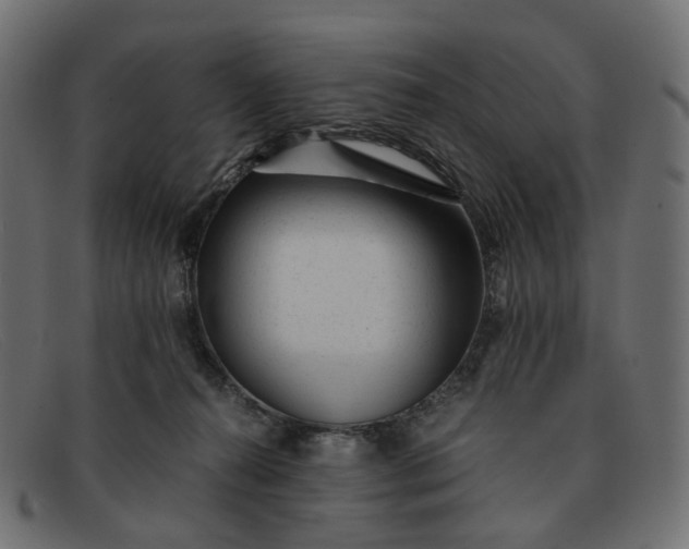 X0000091880272200709191202