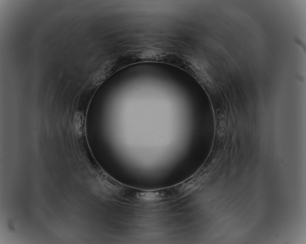 X0000091880273200709191202