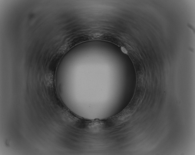 X0000091880274200709191202