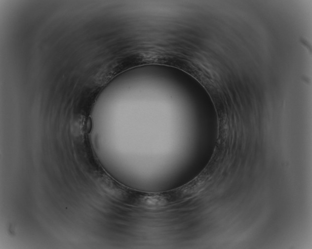 X0000091880275200709191202