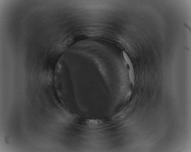 X0000091880277200709191202